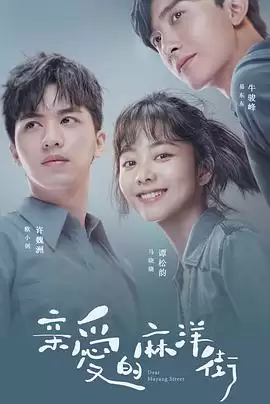 电视剧《亲爱的麻洋街》剧情介绍