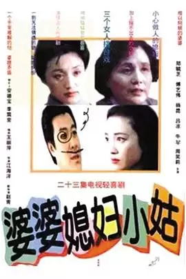 电视剧《婆婆媳妇小姑》剧情简介