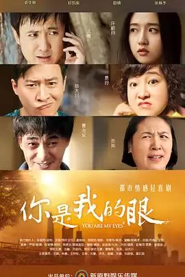 电视剧你是我的眼剧情介绍