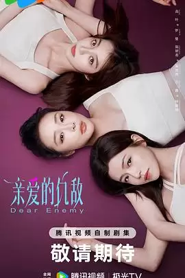 电视剧《亲爱的仇敌》剧情简介