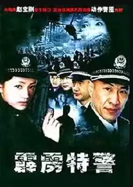 电视剧霹雳特警剧情介绍