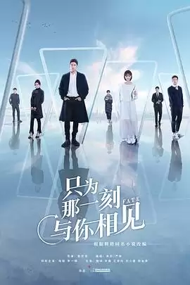 电视剧《只为那一刻与你相见》：剧情介绍