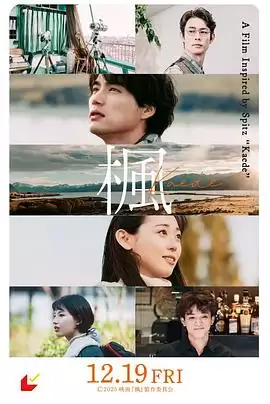 电影《枫》剧情概述