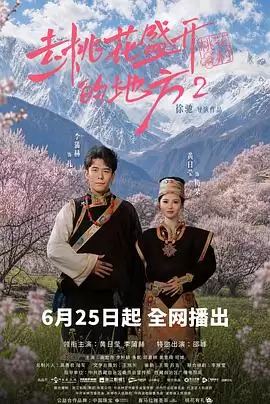 电视剧《去桃花盛开的地方2》剧情简介