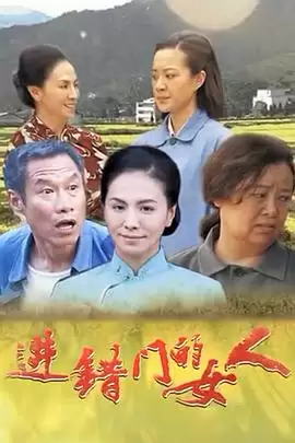 电视剧《进错门的女人》剧情介绍