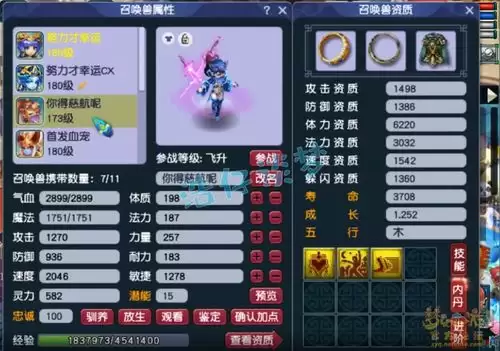 梦幻西游神木装备怎么配置-梦幻西游神木装备如何配置