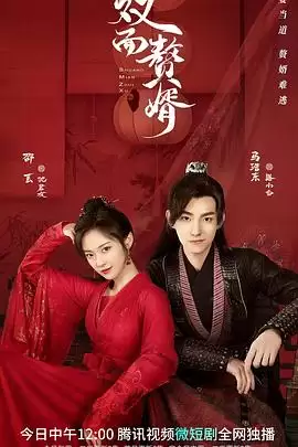 电视剧《双面赘婿》剧情介绍
