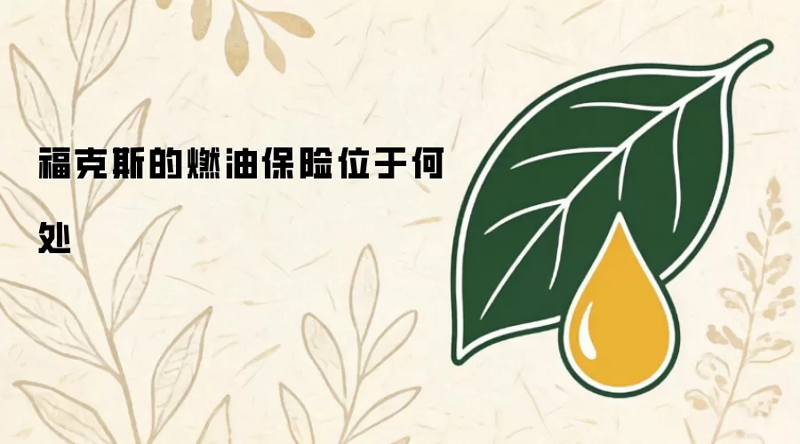 福克斯的燃油保险在哪个位置