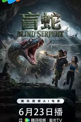 电影《盲蛇》的剧情介绍