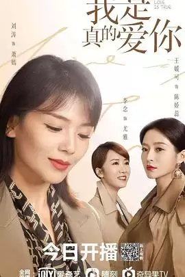 电视剧《我是真的爱你》剧情概述