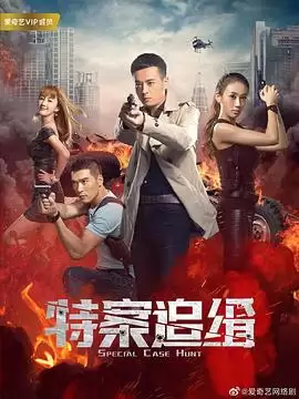 电视剧《特案追缉》剧情梗概