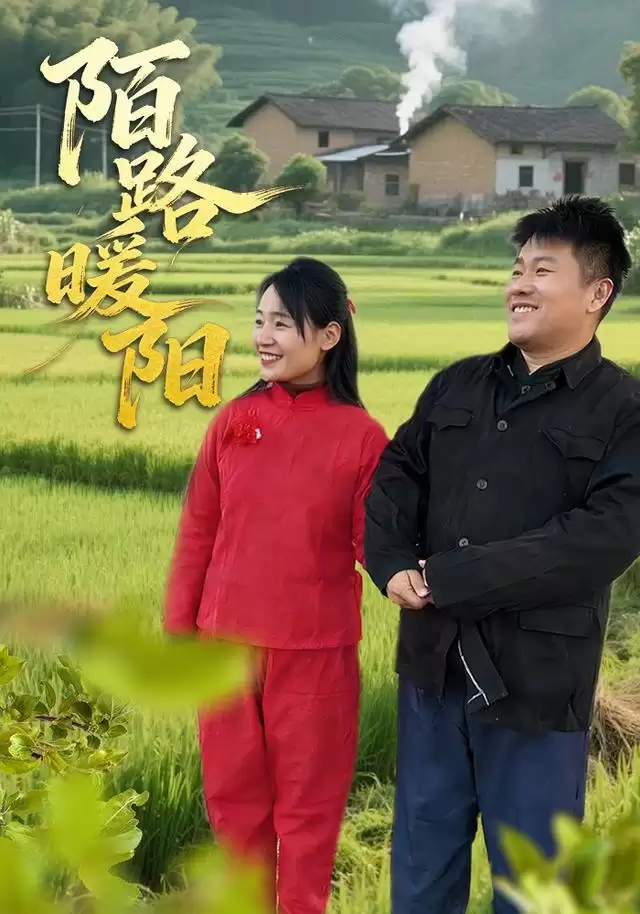 短剧《陌路暖阳》剧情介绍