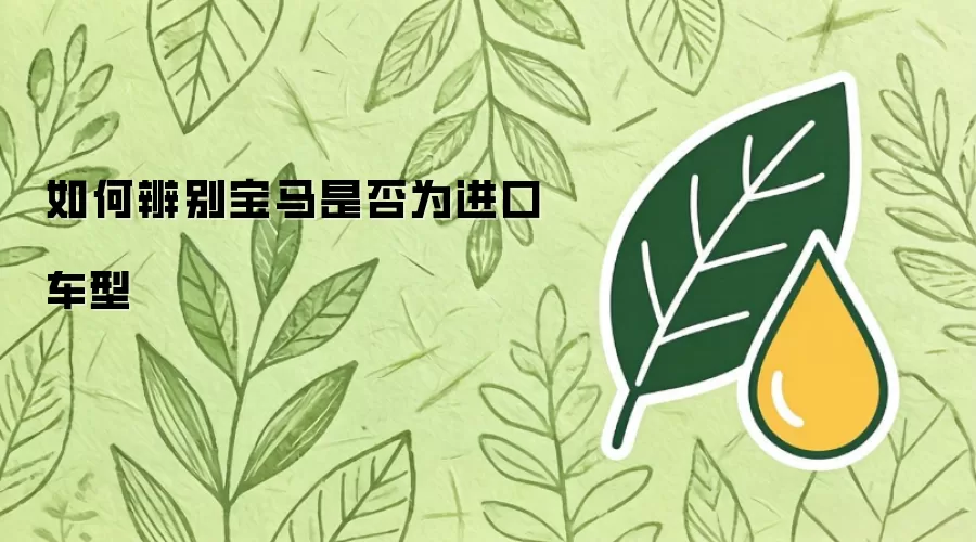 如何辨别宝马是否为进口车型