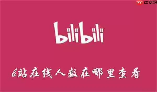 如何查看b站视频实时观看人数
