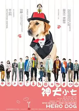 电视剧《神犬小七第一季》剧情介绍