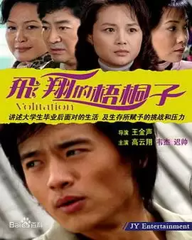 电视剧《飞翔的梧桐子》剧情介绍