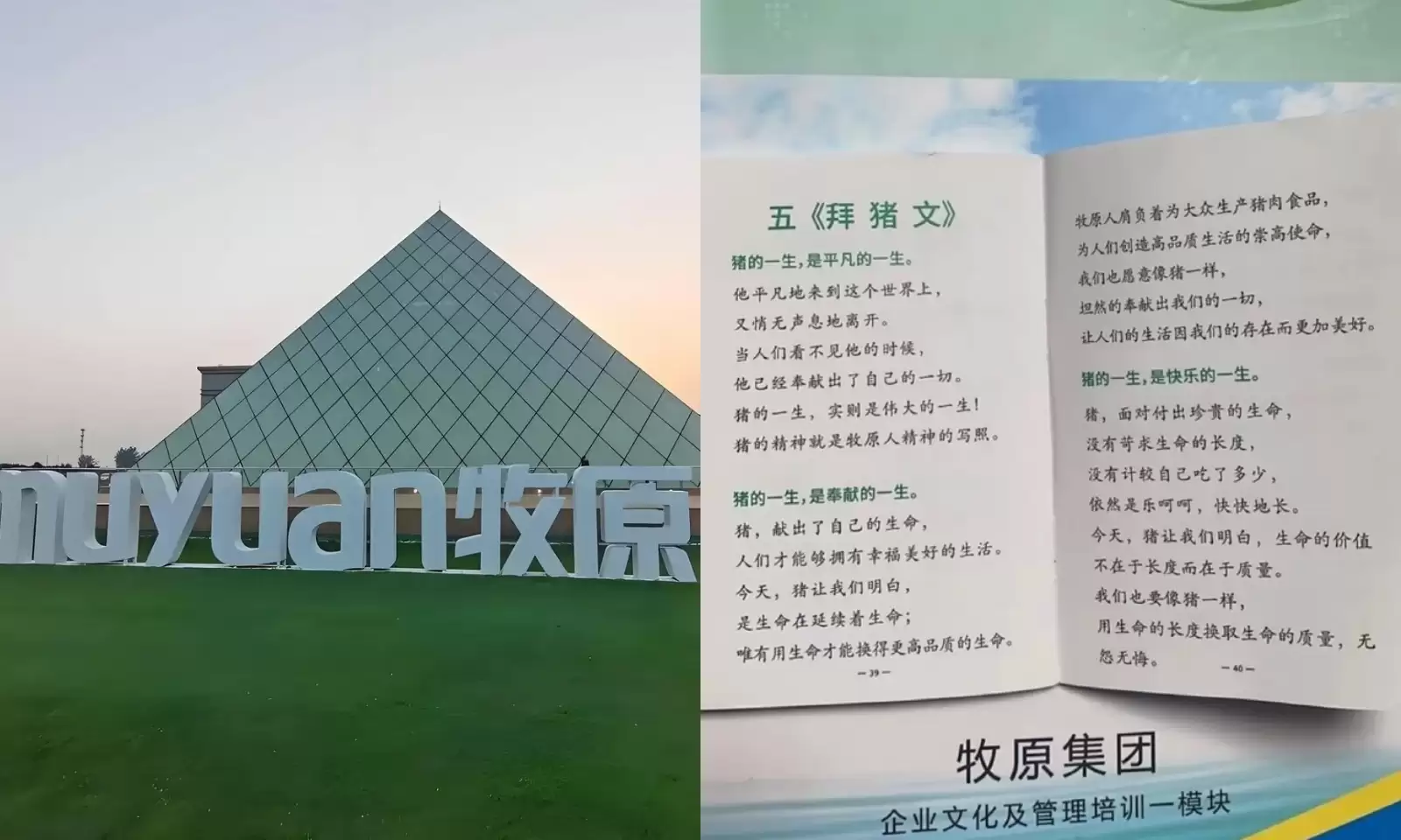 牧原《拜猪文》炸锅！让员工学猪奉献：是企业文化还是职场PUA？