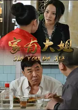 电视剧《家有大姐》剧情简介