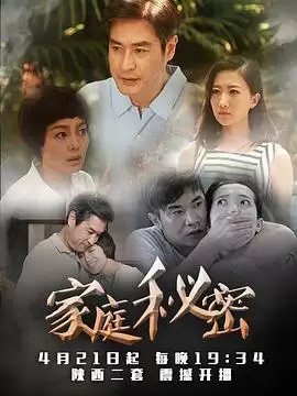《家庭秘密》电视剧剧情介绍