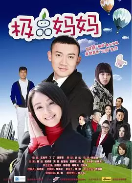 电视剧《极品妈妈》剧情简介