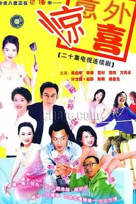 电视剧《将装修进行到底》剧情介绍