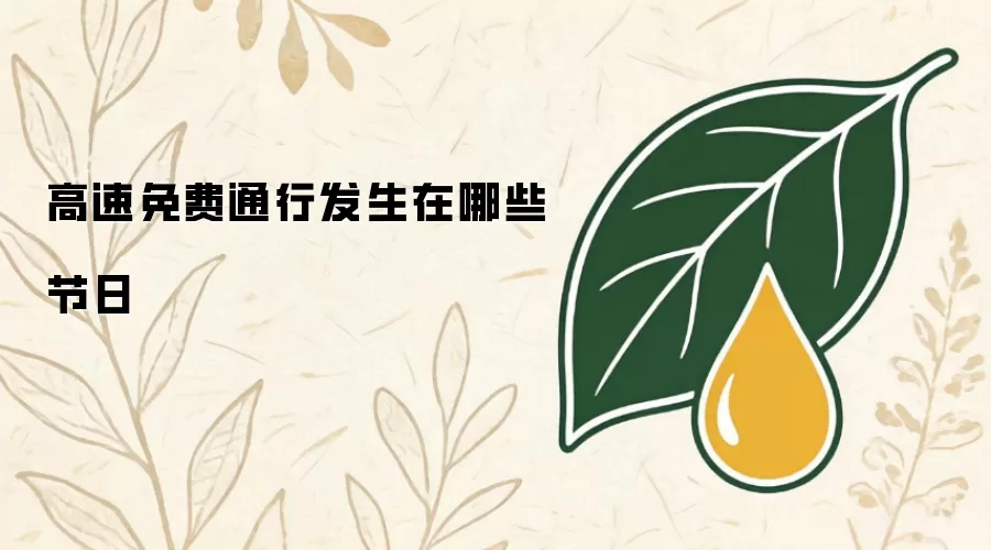 高速免费通行发生在哪些节日