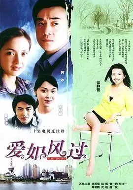 电视剧《爱如风过》剧情介绍
