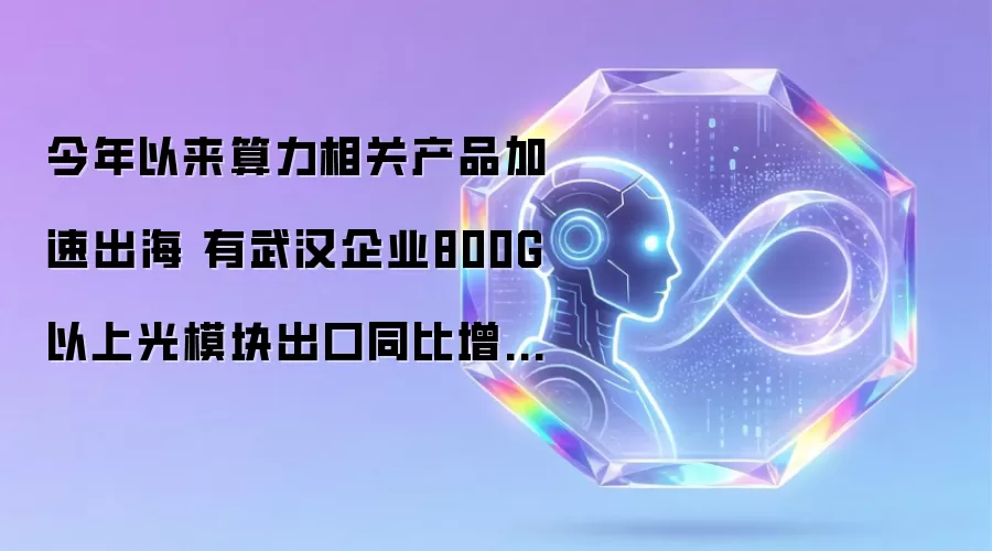 今年以来算力相关产品加速出海：有武汉企业800G以上光模块出口同比增长超100倍