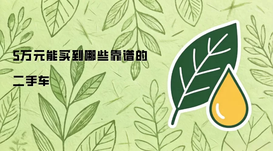 5万元可以买到哪些靠谱二手车