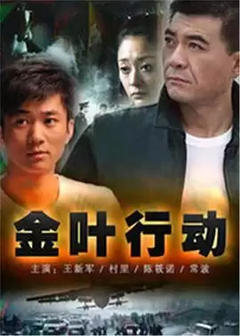 电视剧金叶行动剧情介绍