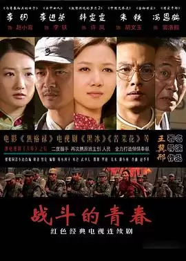 电视剧战斗的青春剧情介绍