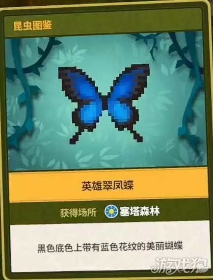潜水员戴夫丛林DLC全昆虫图鉴汇总 丛林DLC昆虫有哪些