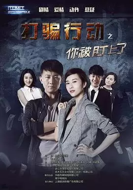 电视剧《打骗行动之你被盯上了》剧情介绍