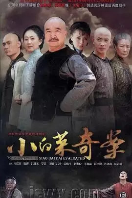 电视剧《小白菜奇案》剧情介绍