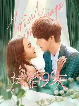 电视剧《试婚99天》剧情介绍