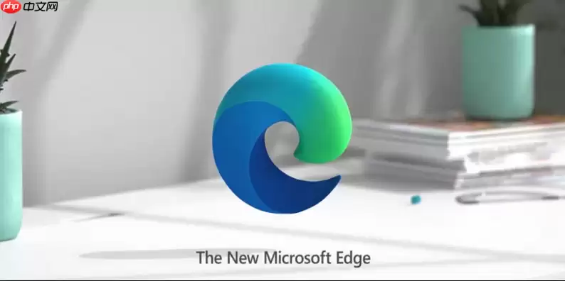 Edge浏览器地址栏输入内容后响应过慢该怎样清理索引