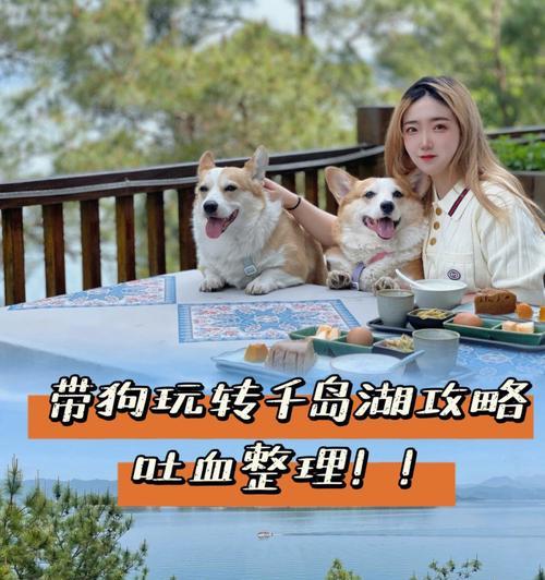 悠悠江湖（探索悠悠江湖，解锁宠物技能的秘密！）