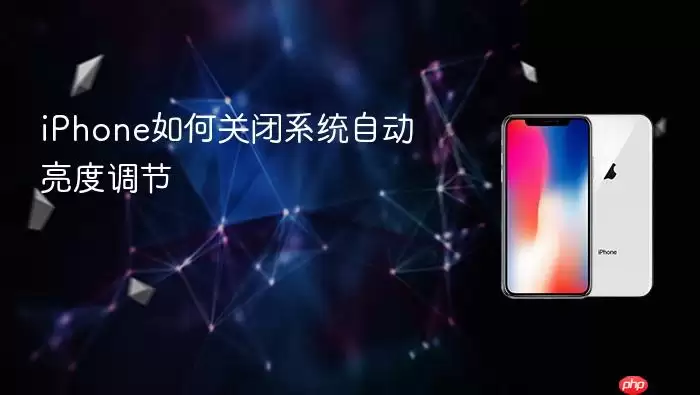 iPhone怎样关闭系统自动亮度调节