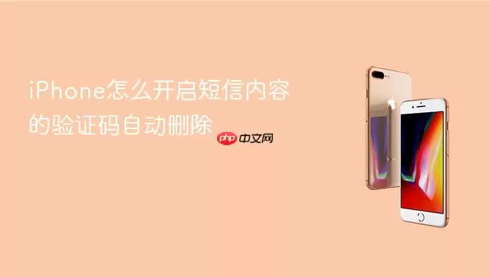iPhone怎么开启短信内容验证码自动删除