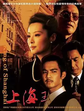 电视剧《上海王2008》剧情简介