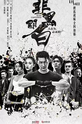 《非黑即白》电视剧剧情介绍