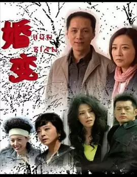 电视剧《婚变》剧情简介