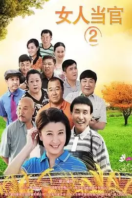 电视剧《女人当官2》剧情简介