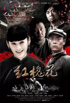 红槐花电视剧剧情介绍