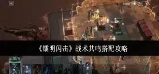 镭明闪击战术：共鸣搭配方案详解