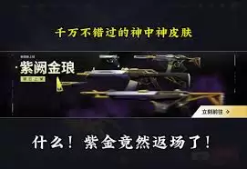 无畏契约手游：紫阙金琅皮肤返场时间揭晓