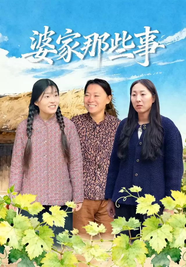 短剧《婆家那些事》剧情介绍