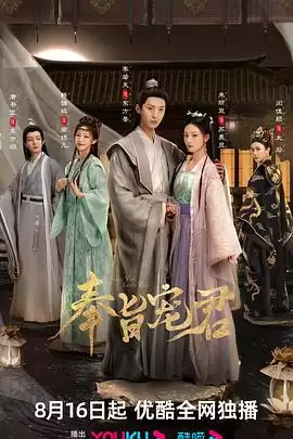 电视剧《奉旨宠君》剧情介绍