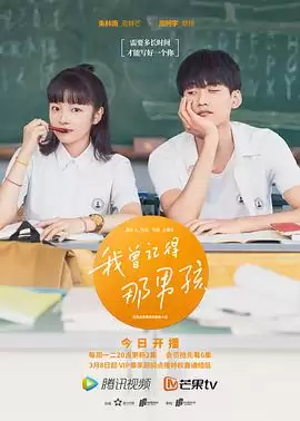 电视剧《我曾记得那男孩》剧情介绍