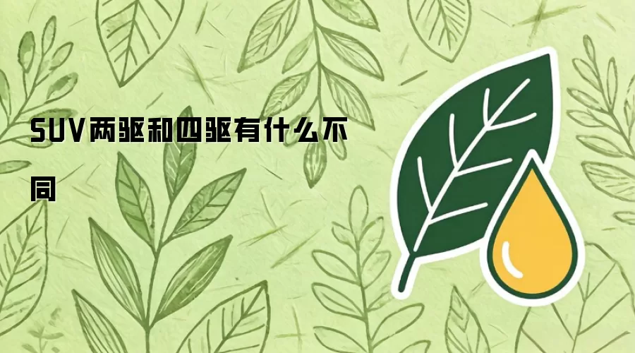 SUV两驱和四驱有何不同